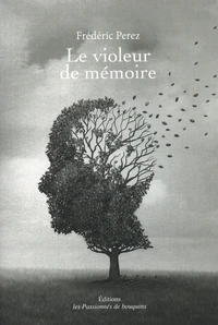 Le violeur de mémoire