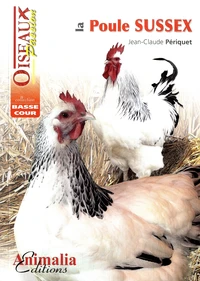 La poule Sussex