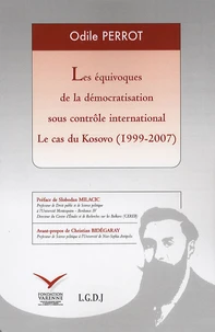 Les équivoqes de la démocratisation sous contrôle international