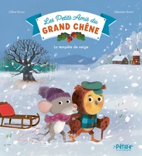La tempête de neige