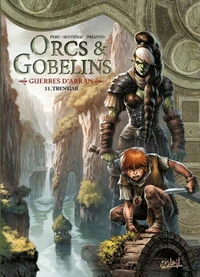 Orcs et Gobelins T31 - Guerres d'Arran