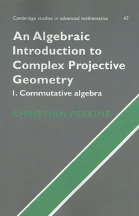An Algebraic Introduction to Complex Projective Geometry