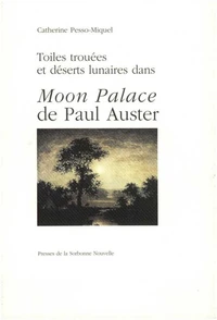 Toiles Trouees Te Deserts Lunaires Dans Moon Palace De Paul Auster