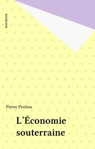 L'Economie souterraine