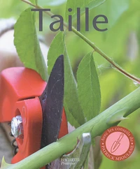 Taille
