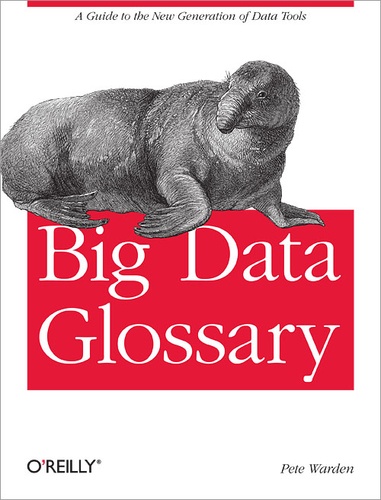 Pete Warden - Big Data Glossary.