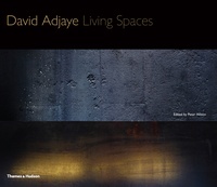Peter Allison - David Adjaye living spaces.