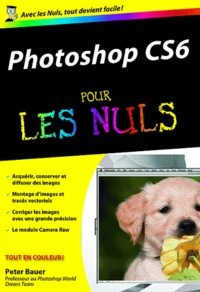 Photoshop CS6 pour les nuls.pdf