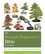 The Bonsai Bible. The definitive guide to choosing and growing bonsai