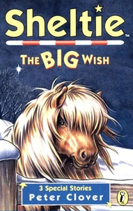 Sheltie: The Big Wish
