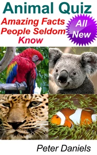 Animal Quiz