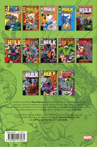 Hulk  L'intégrale 1990