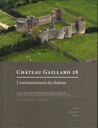 Château Gaillard 28