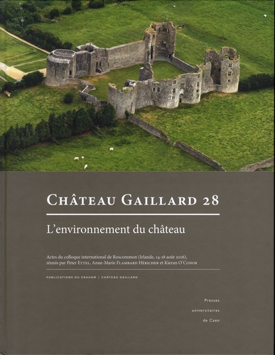 Château Gaillard 28. Etudes de castellologie médiévale. L'environnement du château
