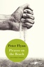 Peter Flynn - Picasso on the beach - Ebook - Collection Paper Planes.