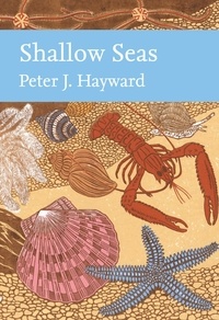 Peter Hayward - Shallow Seas.