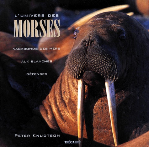 Peter Knudtson - L'Univers Des Morses. Vagabonds Des Mers Aux Blanches Defenses.