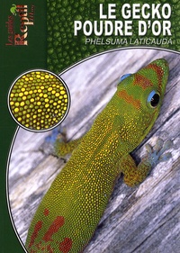 Peter Krause - Le gecko poudre d'or - Phelsuma laticauda.
