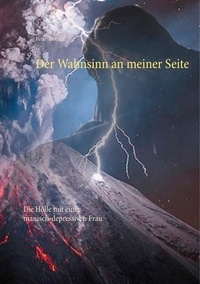 Peter S. Fischer - Der Wahnsinn an meiner Seite - Die Hölle mit einer manisch-depressiven Frau.