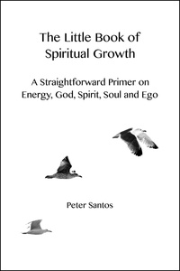  Peter Santos - The Little Book of Spiritual Growth.