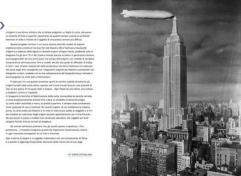New York. Un siècle de photographies aériennes