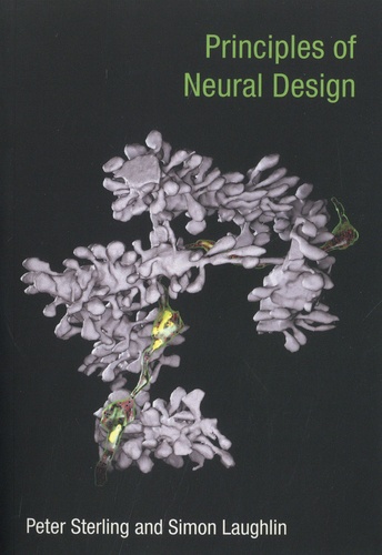 Principles of Neural Design