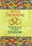 Peter Tremayne - Valley of the Shadow.