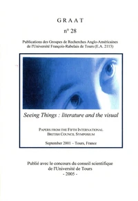 Seeing Things : Literature and The Visual