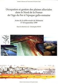Occupation, gestion des plaines alluviales de l'Age du fer à l'Antiquité