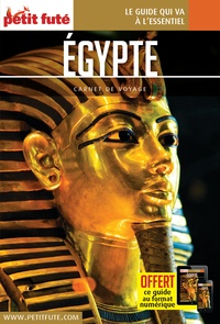 Livres au format epub téléchargement gratuit Egypte FB2 in French par Petit Futé 9782305017037