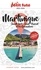 Petit Futé Martinique. Sainte Lucie, Saint-Vincent-et-les-Grenadines  Edition 2023-2024