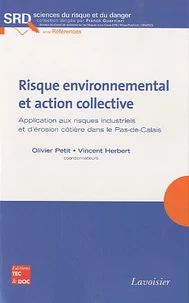 Risque environnemental et action collective
