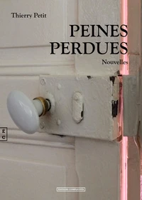 Peines perdues