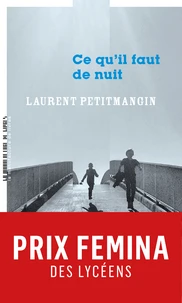 Ce qu'il faut de nuit