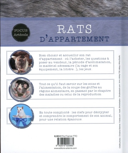 Rats d'appartement