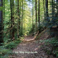 Ein Weg liegt vor dir.