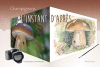 Champignons, l'instant d'après