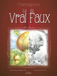 Champignons : LE VRAI DU FAUX