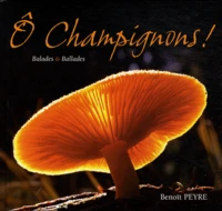 Ô champignons !
