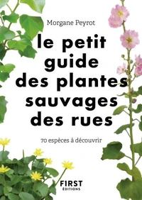 Le petit guide des plantes sauvages des rues