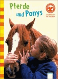 Pferde und Ponys.