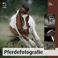Pferdefotografie.