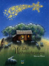 Der Weihnachtsstern