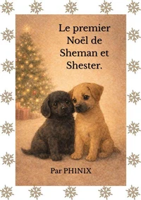 Le premier Noël  de Sheman et Shester