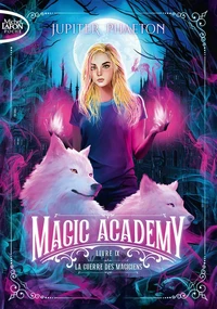La guerre des magiciens