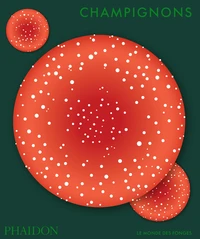 Champignons