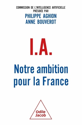 I.A. : notre ambition pour la France