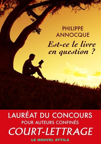 Philippe Annocque - Est-ce le livre en question ?.