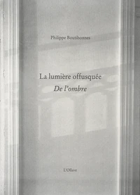 La lumière offusquée