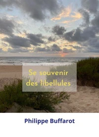 Se souvenir des libellules